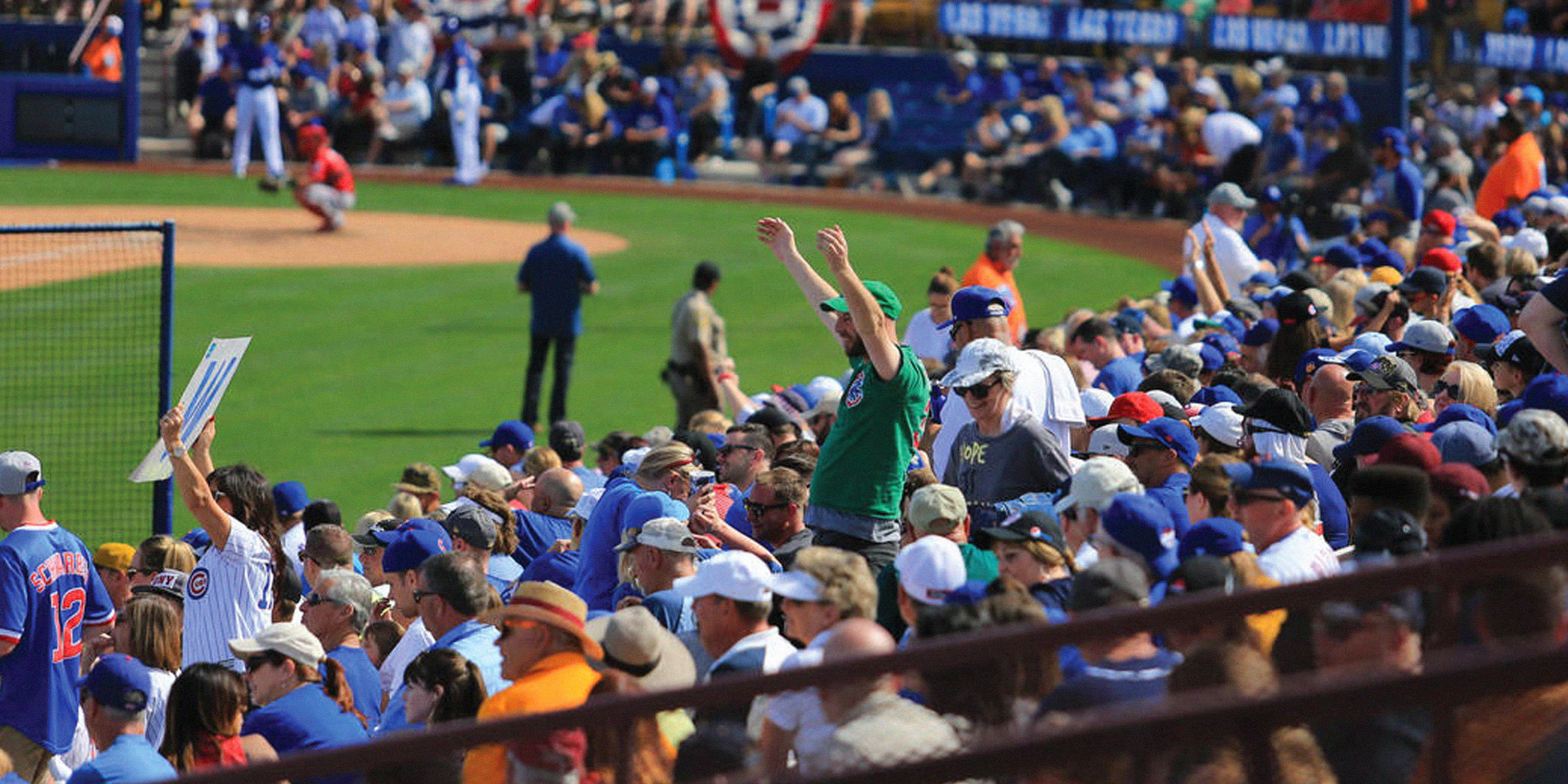 Baseball fans in stands