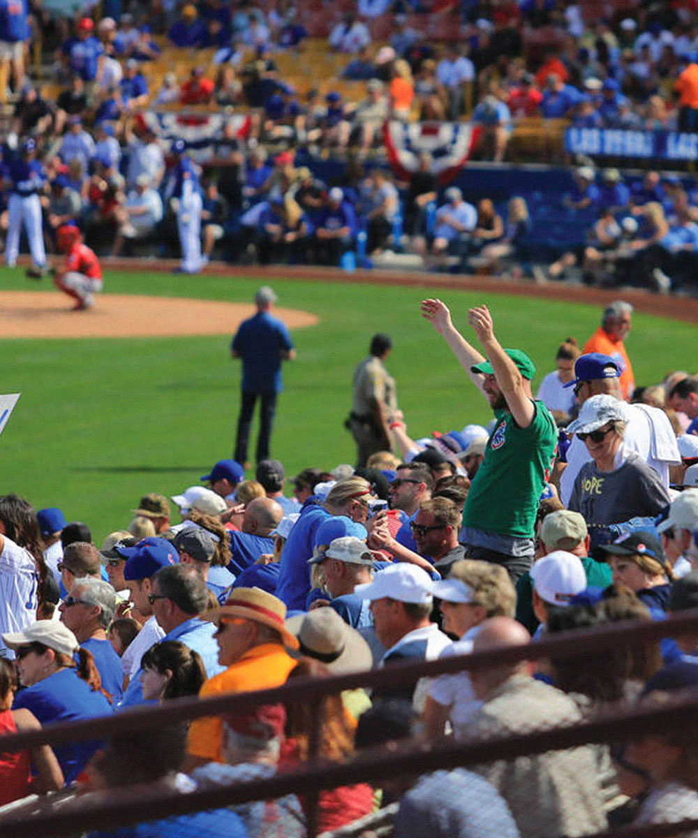 Baseball fans in stands